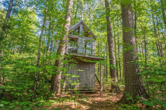 25-229317110-e1598987016769