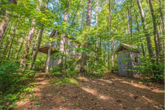 41-229317126-e1598986435400