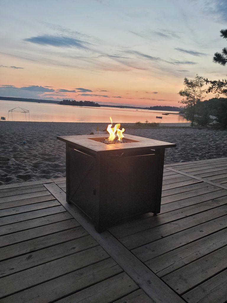 洋書 house industries magazine #2 house industries magazine #2 洋書 house industries magazine #2